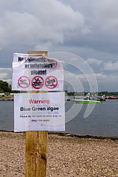 Cannock, Staffordshire, UK. 11th August 2017. Blue-green algae has hit problematic levels at Chasewater Country Park with warning