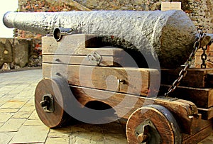 Cannon