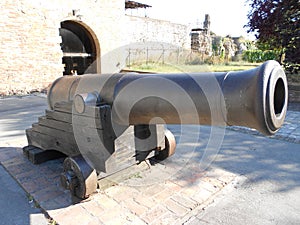 Cannon