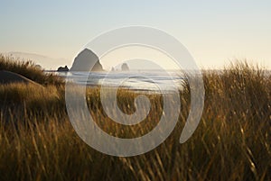 Cannon Beach Sand Dunes