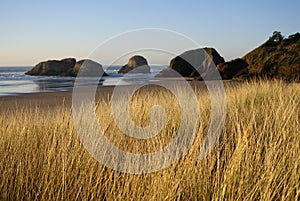 Cannon Beach Sand Dunes