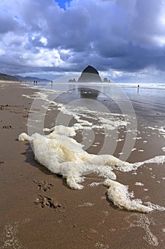 Cannon Beach Sea Foam and Haystack Rock, Pacific Northwest, Oregon Coast, USA