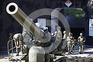 Cannon in the bunker