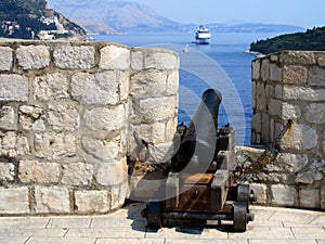 Cannon and cruise ship