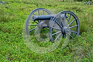 Cannon in a field