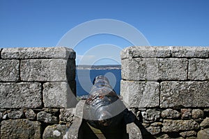 Cannon looking out to sea from castle