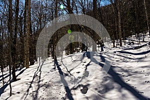 Cannon Mountain in Franconia, NH via Hi-Cannon, Kinsman Ridge, a