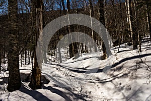 Cannon Mountain in Franconia, NH via Hi-Cannon, Kinsman Ridge, a