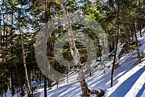 Cannon Mountain in Franconia, NH via Hi-Cannon, Kinsman Ridge, a photo