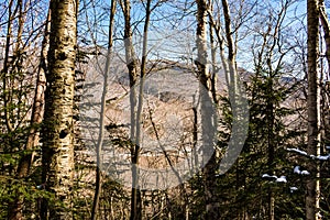 Cannon Mountain in Franconia, NH via Hi-Cannon, Kinsman Ridge, a photo