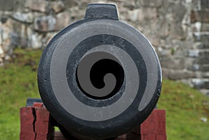 Cannon muzzle photo