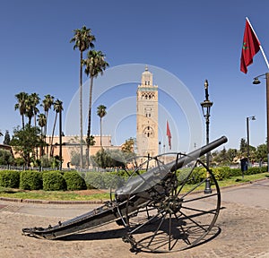 Cannon next to the fortress and Arab mosque Koutoubia is the iconic monument of Marrakech is located next to the Jemaa el Fna