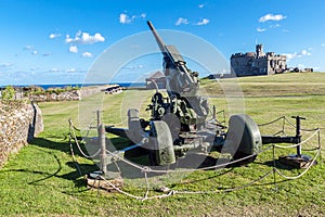 Cannon at the Pendennis Castle