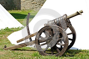 Cannon replica gun historical