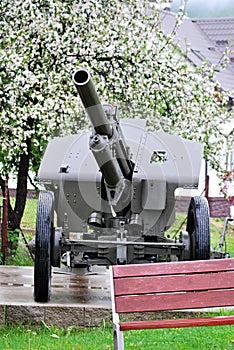 Cannon from second world war with flowering tree in Zliechov