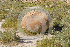 Cannonball Concretion in the Badlands photo