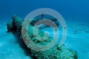 Cannons on the sea floor