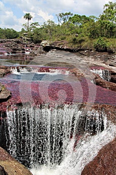Cano Cristales Pink Waterfall Jungle photo