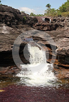 Cano Cristales Waterfall Rocky Drop