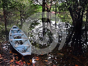 Canoe of Amazonia