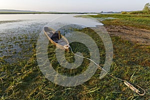 Canoe in Biebrza National Park, Poland