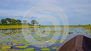 Canoe in the Delta in Botswanna