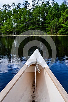 Canoe heading towards the forest on water