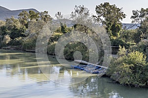 canoe mooring at Ombrone river green right bank, north of Alberese, Italy