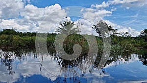 Canoe tour on the Pantanal Marimbus in Andarai, Bahia, Brazil, Chapada Diamantina