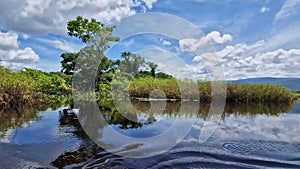 Canoe tour on the Pantanal Marimbus in Andarai, Bahia, Brazil, Chapada Diamantina