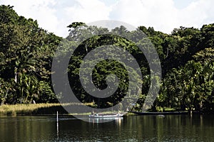 Canoe with tourists crosses the clean water lagoon El Milagro-loggon miracles-amazon jungle sky with clouds tingo maria peru-