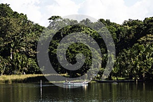 Canoa turistas cruces limpiar Agua laguna la jungla cielo nubes 