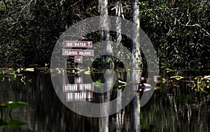 Canoe trail directional sign for Big Water shelter and Floyd`s Island in the Okefenokee Swamp National Wildlife Refuge, Georgia