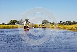 Canoe trip with traditional mokoro boat on river through Okavango Delta near Maun, Botswana Africa