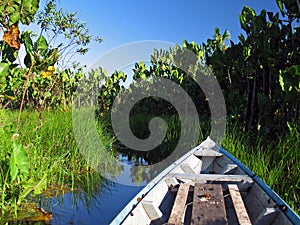 Canoe in the vegetation
