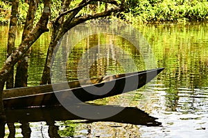 Canoe on the water in the Yasuni Park, Ecuador