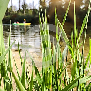 Canoeing on a Loue river in eastern France photo