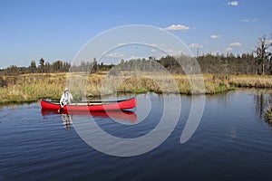 Canoeing in the Okefenokee Swamp -Georgia photo