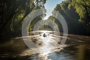 canoeist paddling down serene river, the water glistening in the sunlight