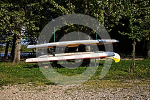 Canoes aground next to a grove