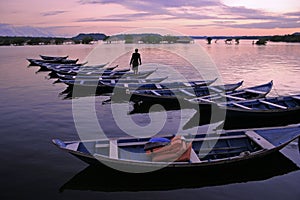 Canoes in Amazonia