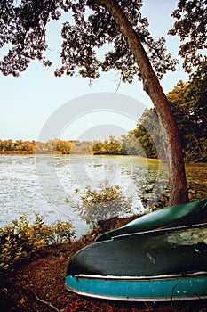 Canoes on the bank of the Charles River in Summer