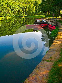 Canoes at dock 4