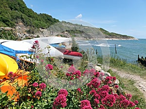 Canoes and Flowers by the Sea