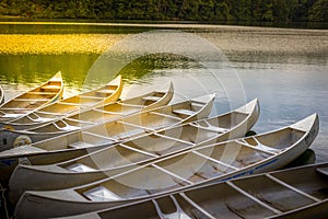 Ready to Row photo