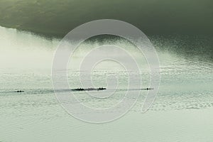 Canoes Paddlers Air Landscape