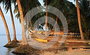 Canoes and palm trees in Ada Foah, Ghana