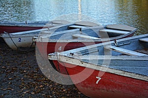 Canoes on the shore of a lake at the sundown