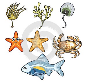 Vector illustration of Sea creatures-4
