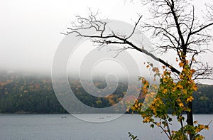 Canoing at Killarney Lake photo